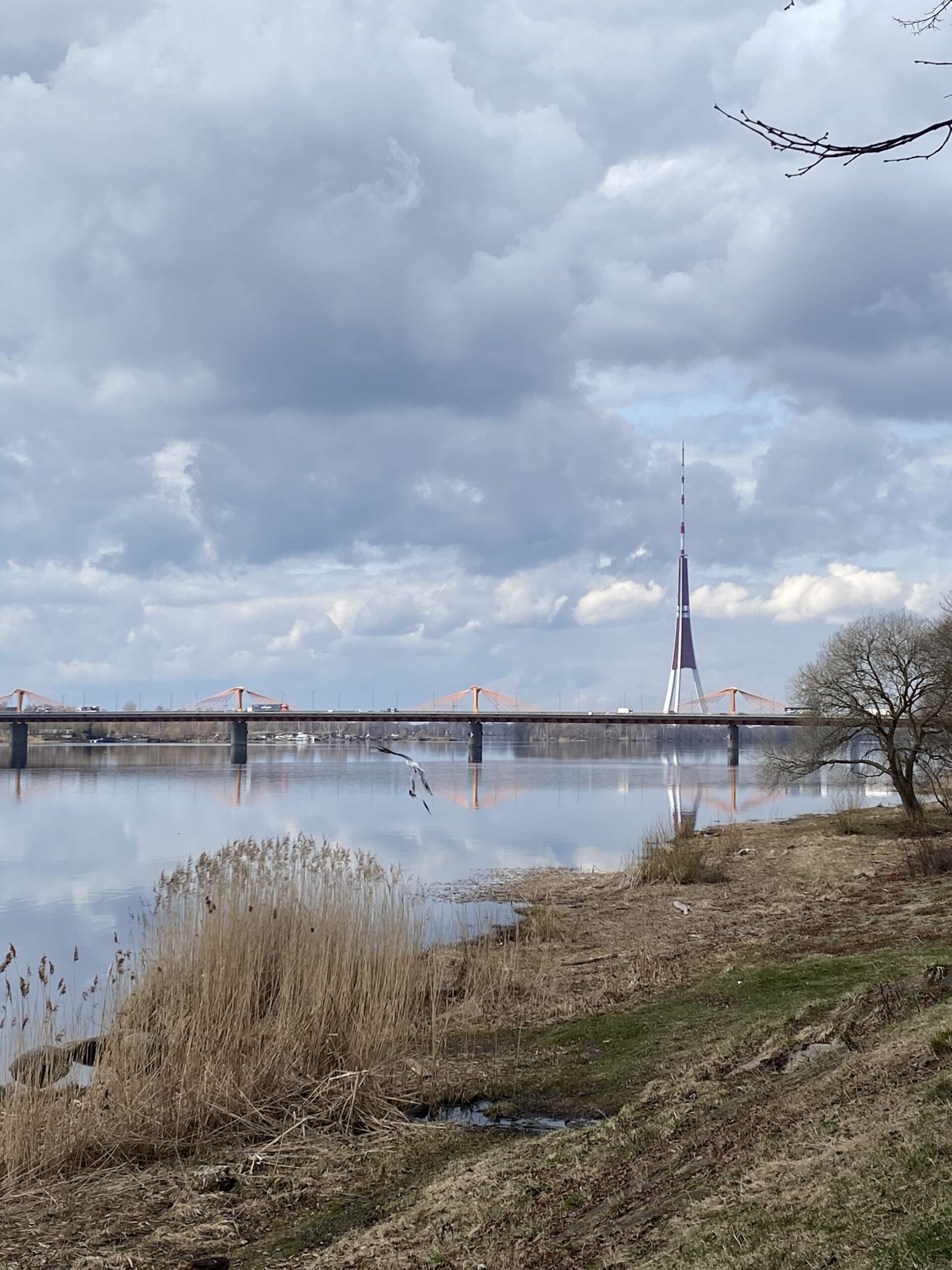 A scenic view of Riga, Latvia featuring the iconic Latvian National Television Tower and a bridge crossing the Daugava River.
